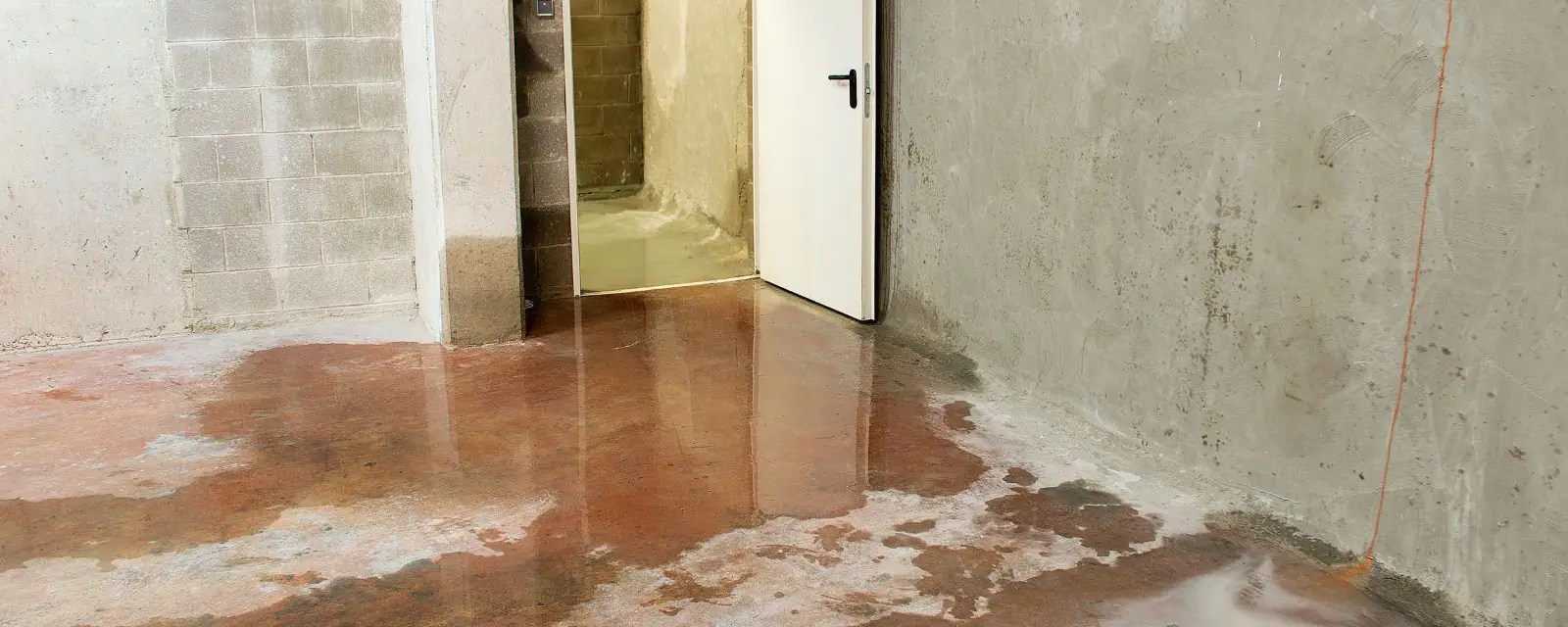 Damp concrete basement room with a wet floor and a doorway to another room