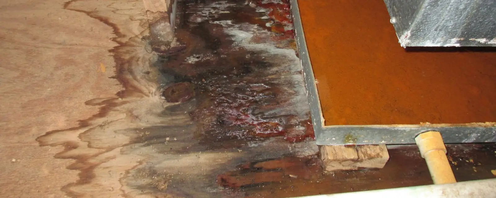 Water stained wood floor with a lifted board showing damaged subfloor