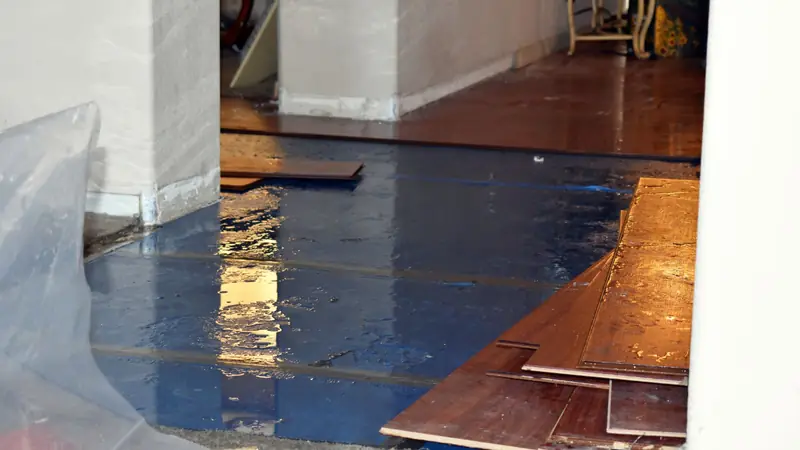 Hardwood boards lifted from a floor with plastic sheeting and water underneath