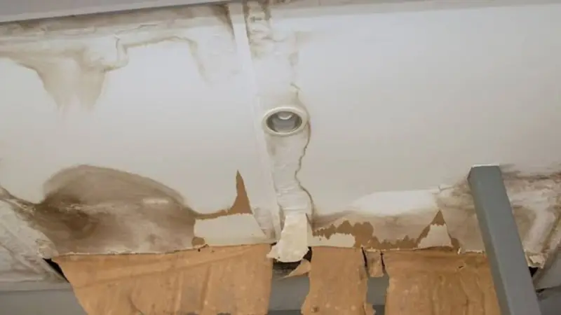 Water stained ceiling with peeling paint around a light fixture